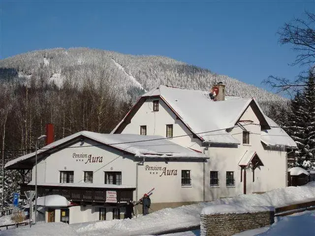 Aura Pension Špičák